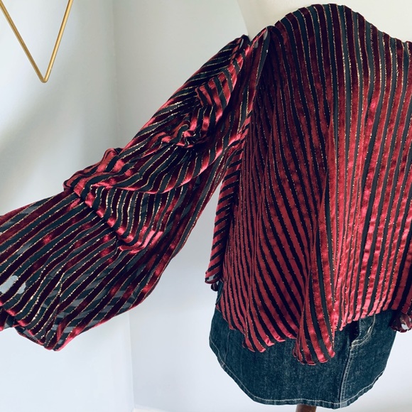 Caroline Constas • Gabrielle Velvet Bustier • Meghan King • SZ S • Retail $445 - Picture 13 of 14